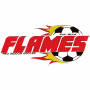 Fort Wayne Flames