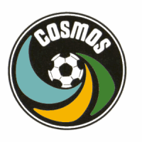 Team logo