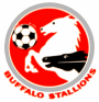 Stallions logo