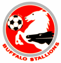 Team logo